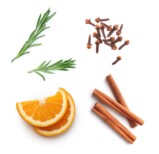 doTERRA On Guard schäumende Handseife + 2 Stück Spender