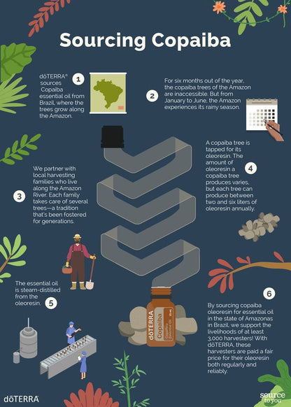 doTERRA Copaiba Öl touch 10 ml Beschaffung