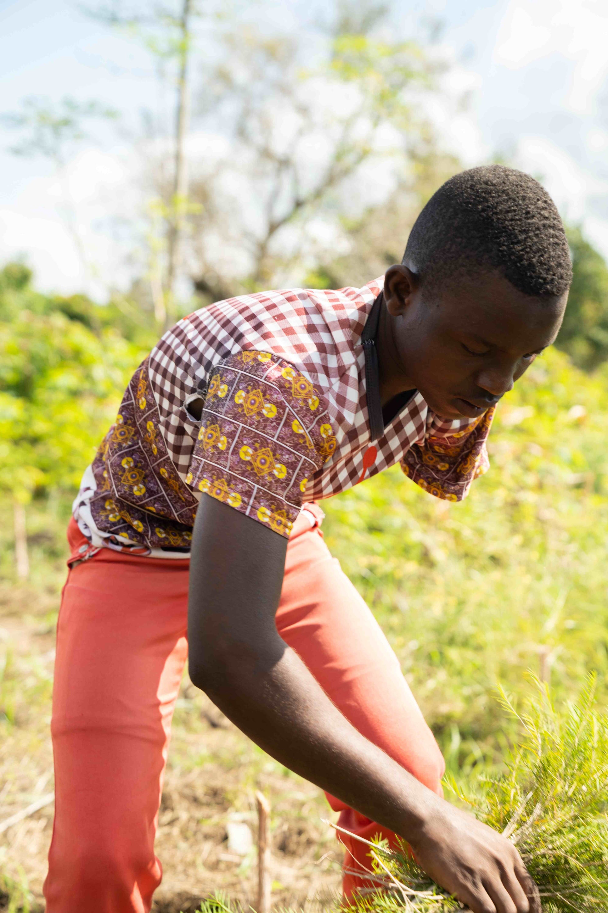 3X Impact Tee Tree, Kenya 10