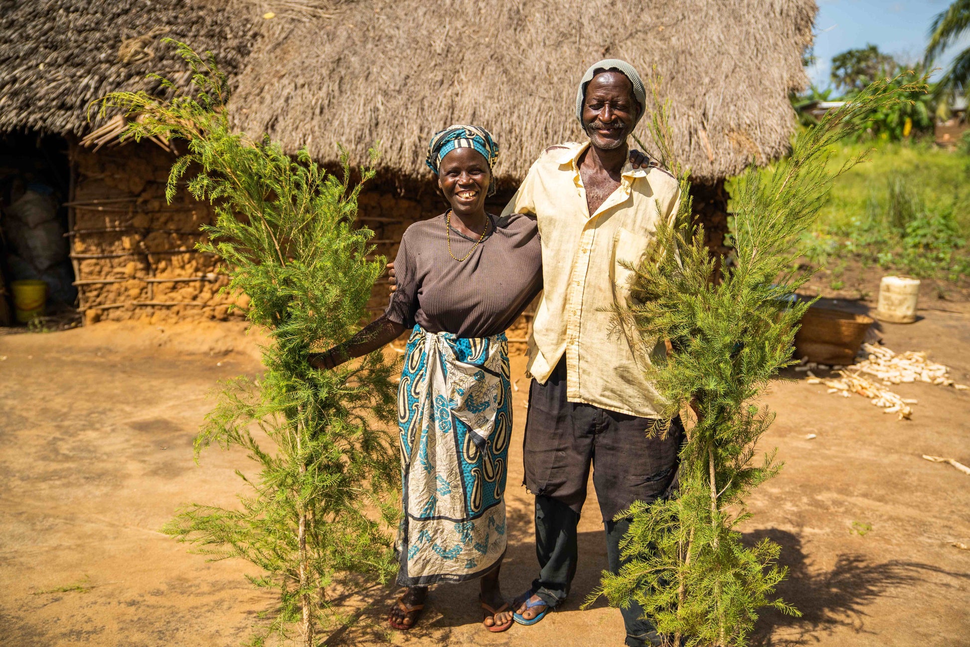 3X Impact Tee Tree, Kenya 12