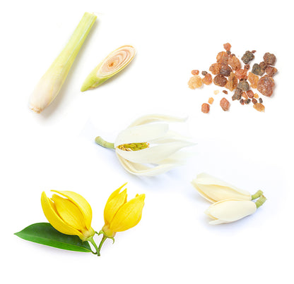 doTERRA sun mineralische Sonnenschutz spray testre was ist enthalten