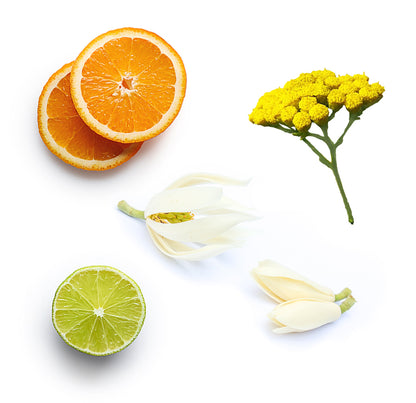 leaveinconditioner whats inside 1085x1050 eu