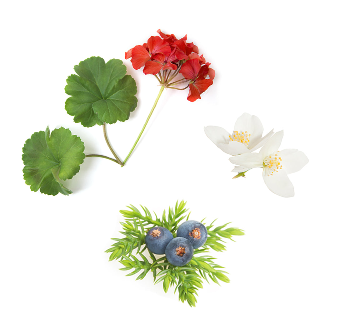 veragemoisturizer whats inside 1085x1050 eu