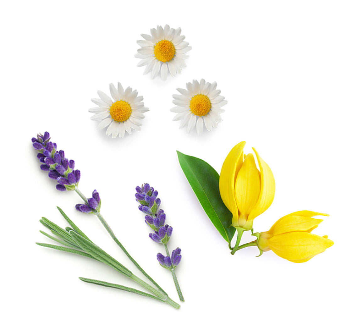 doTERRA serenity ätherische Ölmischung was ist enthalten