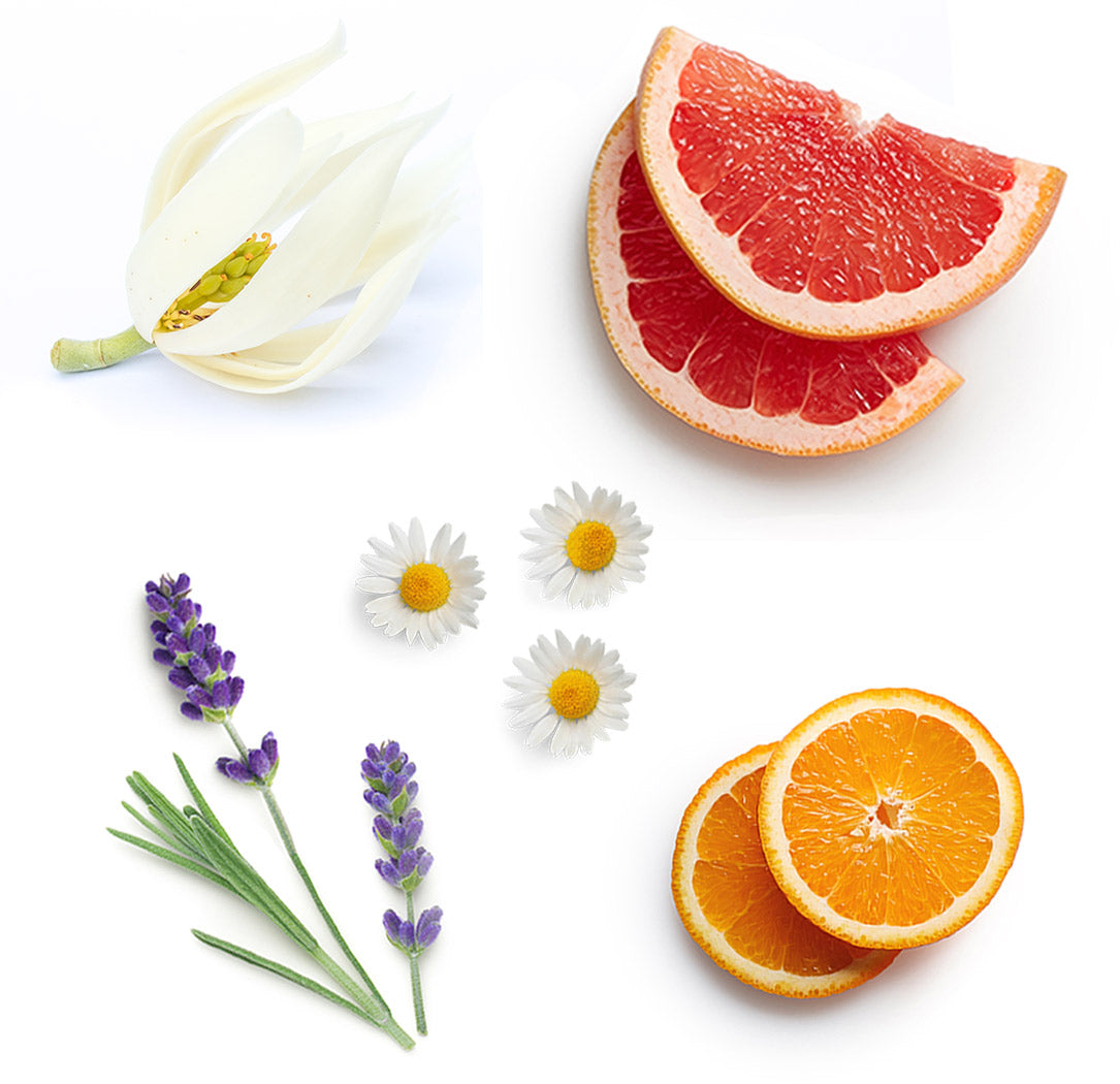 Citrus Bloom Touch (10 ml) - doTERRA