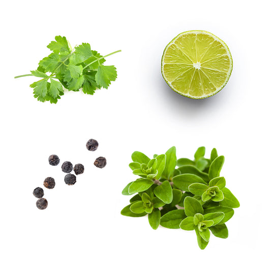 Mexikanische Gewürzmischung 15 ml