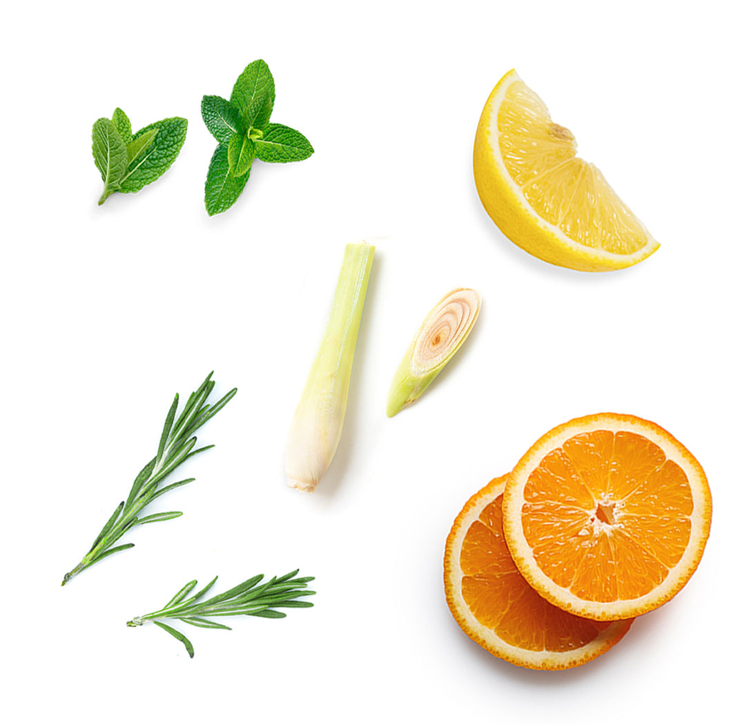 doTERRA Motivate ätherische Ölmischung 5 ml was ist enthalten