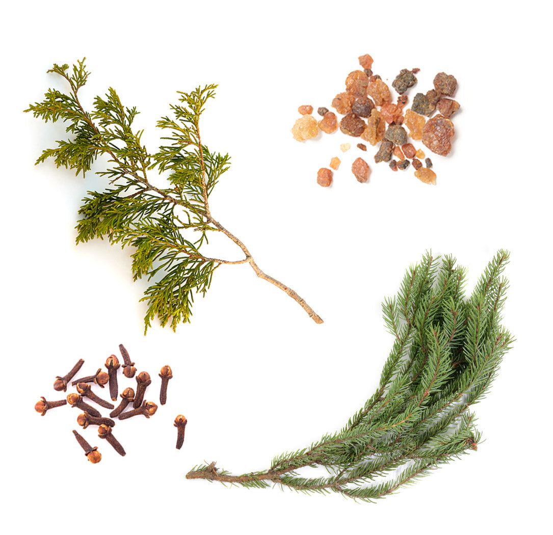 doTERRA northern escape Bestandteile