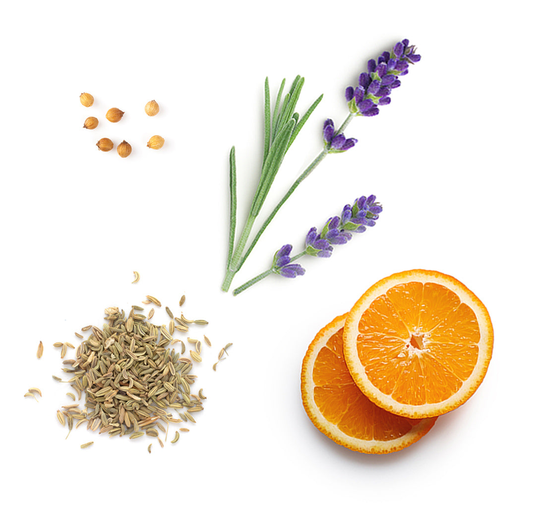 adaptiv Kapsel doTERRA Inhaltsstoffe