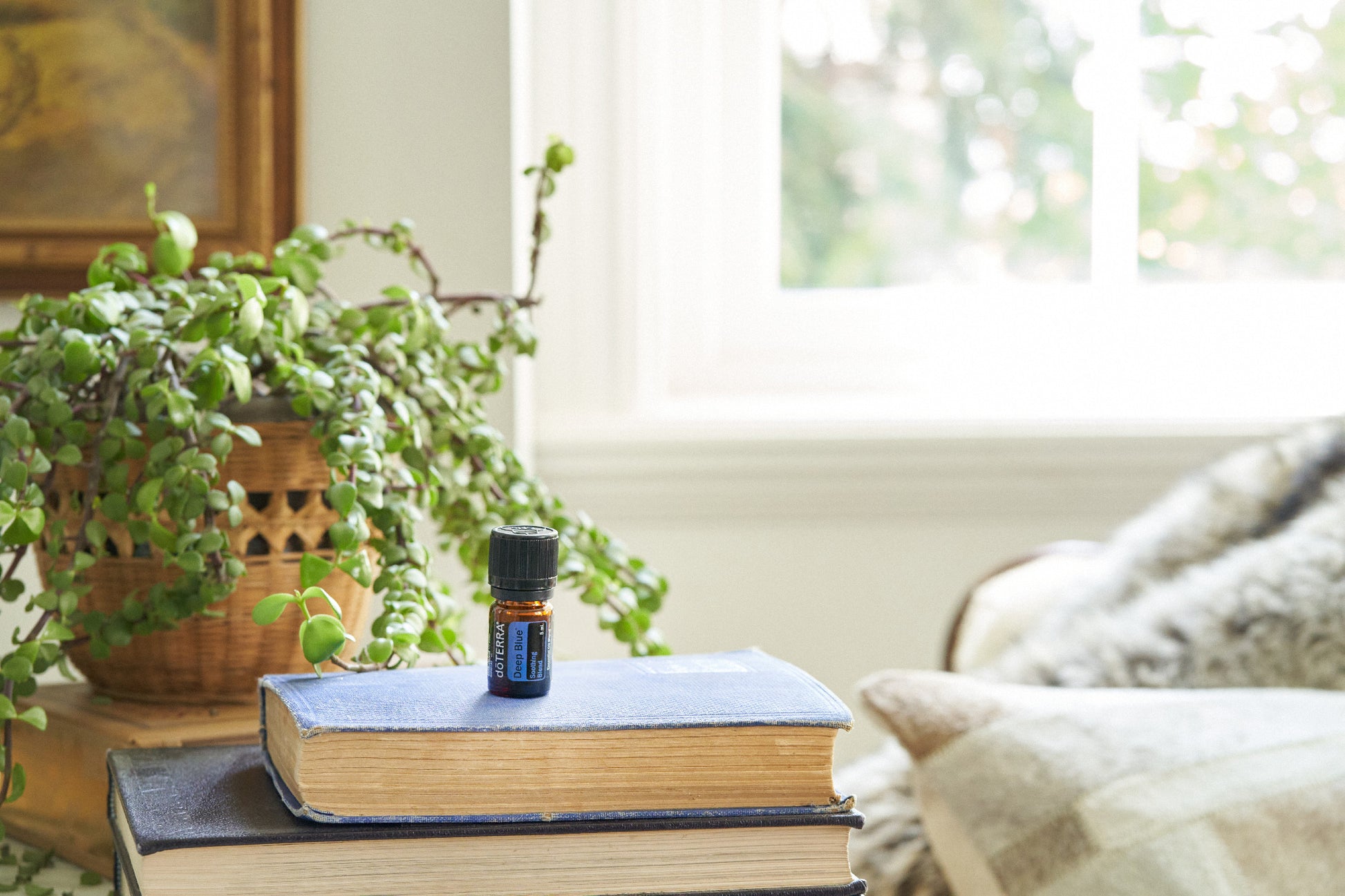 doTERRA deep blue ätherische Ölmischung 5 ml