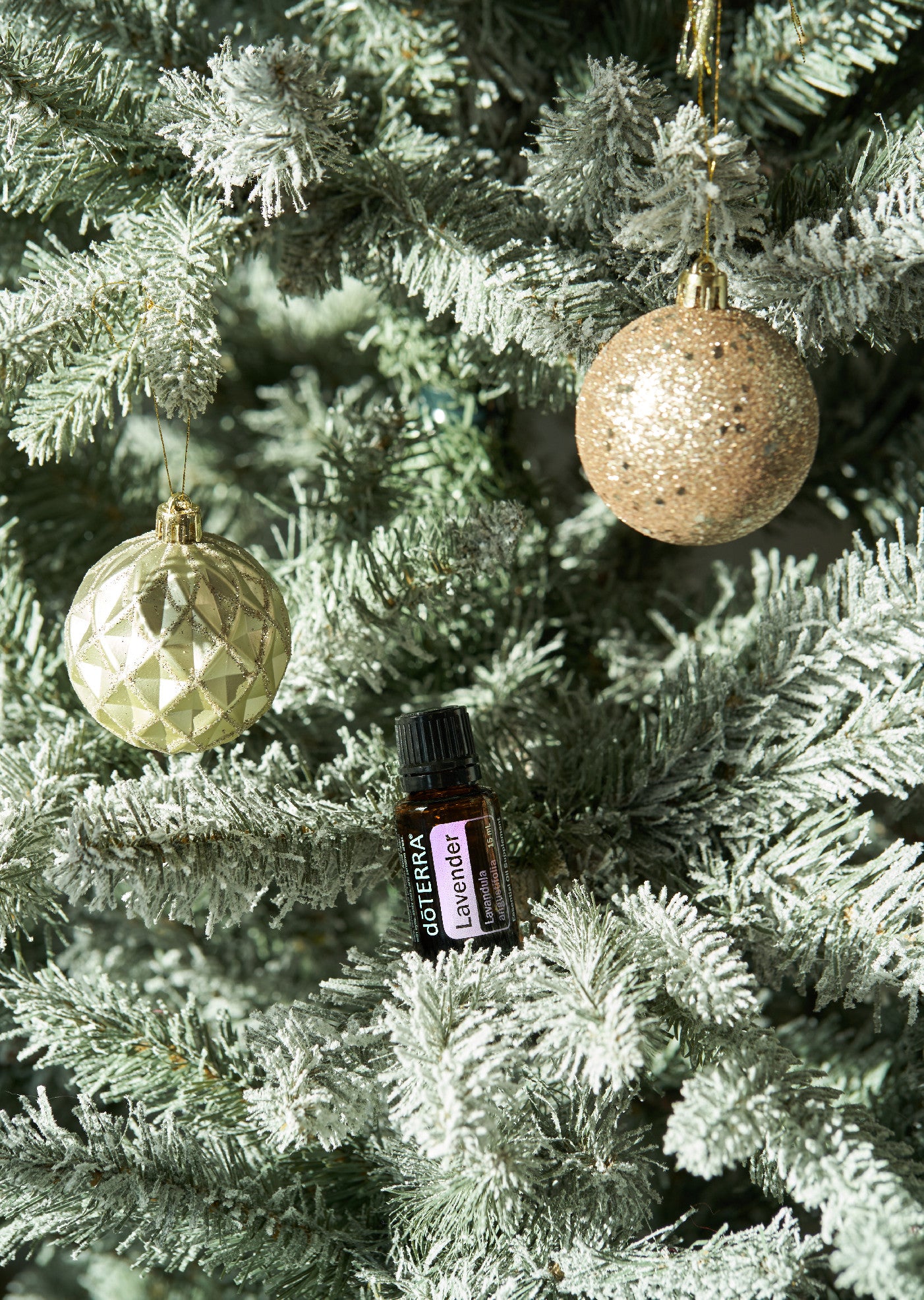 doTERRA Lavendel ätherisches Öl 15mg - Lavender