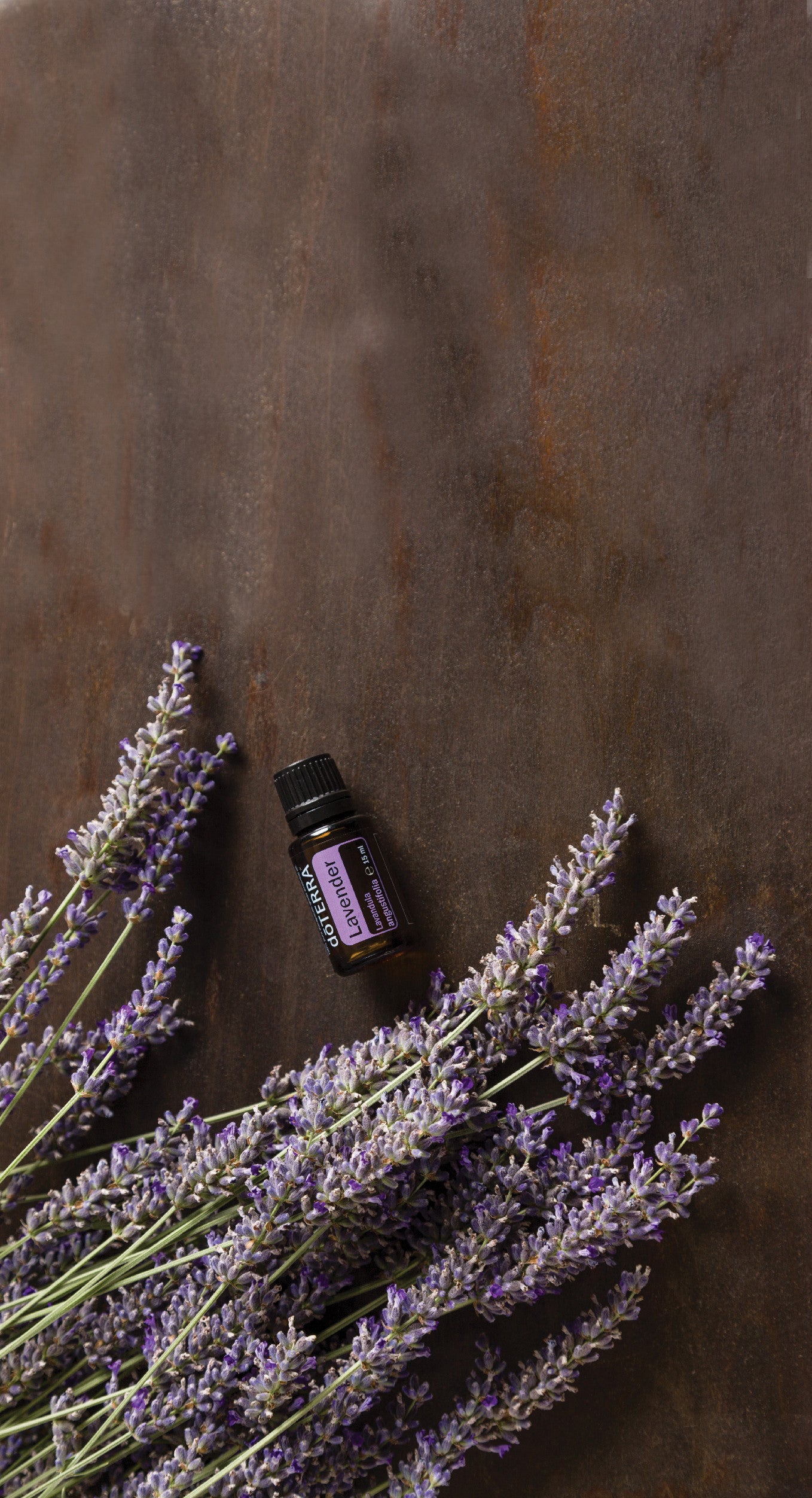 doTERRA Lavendel ätherisches Öl 15mg - Lavender