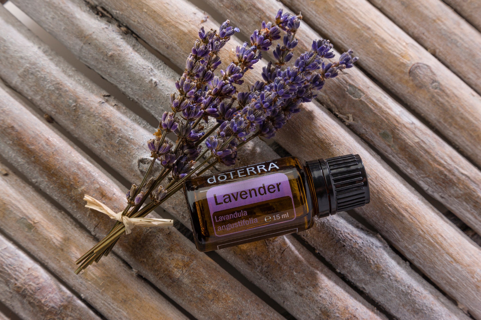 doTERRA Lavendel ätherisches Öl 15mg - Lavender