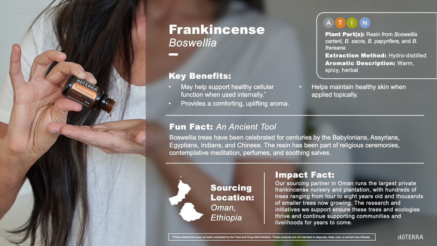doTERRA Weihrauch ätherisches Öl frankincense 15 ml Anwendung und Inhaltsstoffe