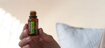 doTERRA Teebaum (Tee tree) ätherisches Öl 15 ml