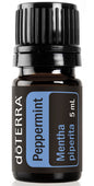 peppermint 5 ml Pfefferminze