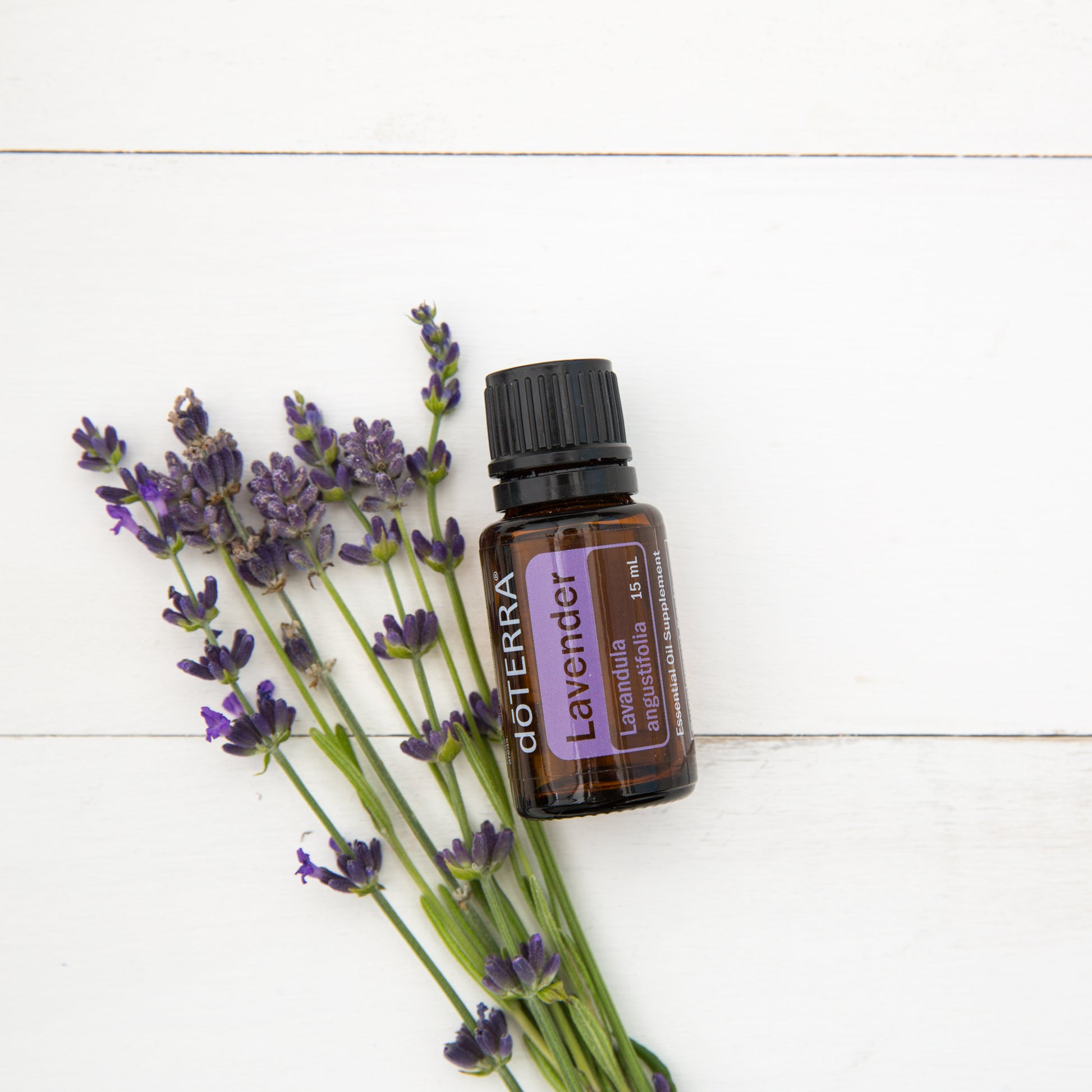 doTERRA Lavendel ätherisches Öl 15mg - Lavender