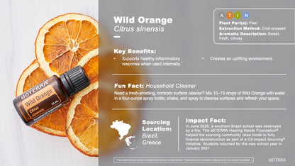 doTERRA wild orange Wildorange ätherisches Öl 15 ml