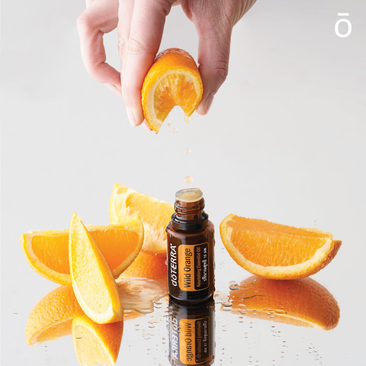 doTERRA wild orange Wildorange ätherisches Öl 15 ml