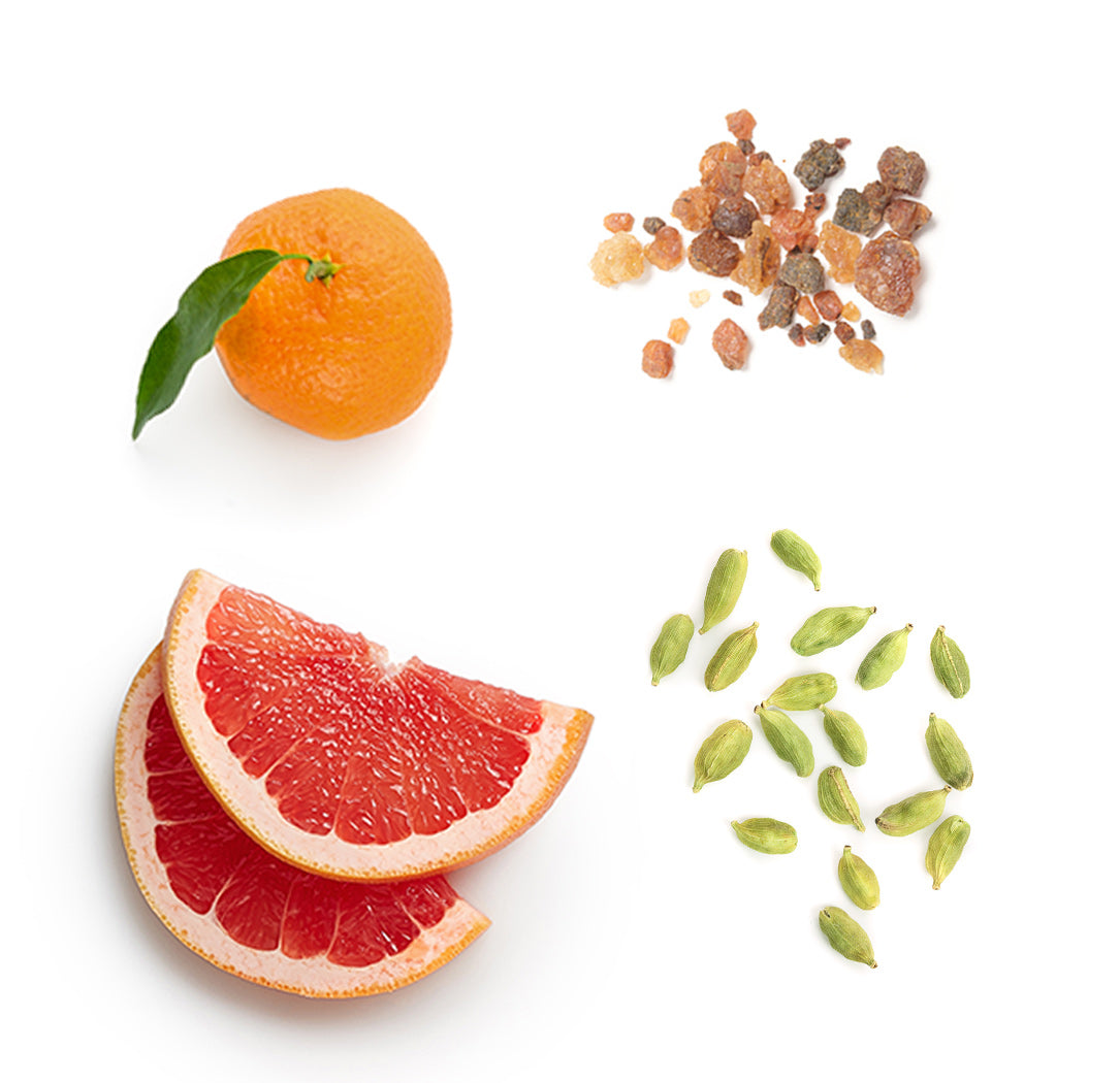 doTERRA air-x ätherische Ölmischung was ist enthalten