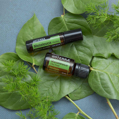 doTERRA Teebaum (Tee tree) ätherisches Öl 15 ml