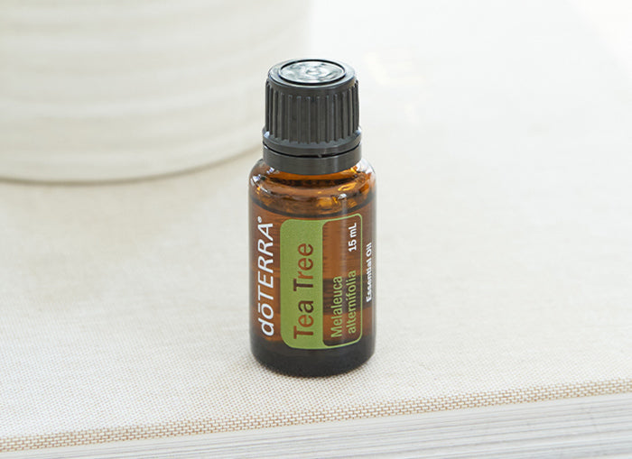 doTERRA Teebaum (Tee tree) ätherisches Öl 15 ml