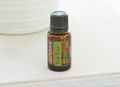 doTERRA Teebaum (Tee tree) ätherisches Öl 15 ml