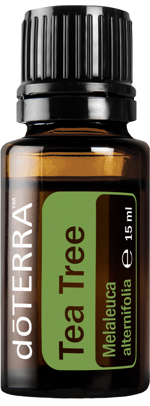 doTERRA Teebaum (Tee tree) ätherisches Öl 15 ml