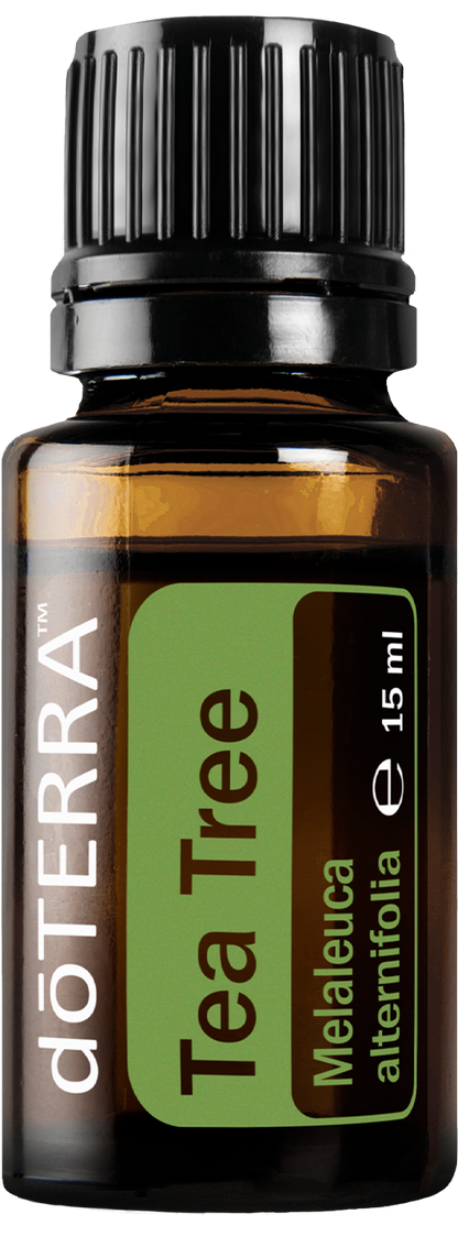 doTERRA Teebaum (Tee tree) ätherisches Öl 15 ml