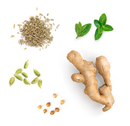 doTERRA ZenGest Ölmischung 15 ml