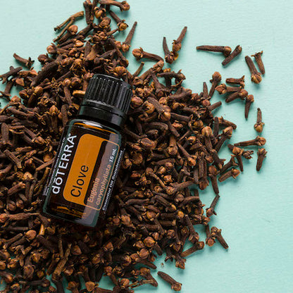 doTERRA Gewürznelke ätherisches Öl - clove 15 ml