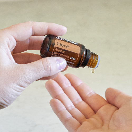 doTERRA Gewürznelke ätherisches Öl - clove 15 ml