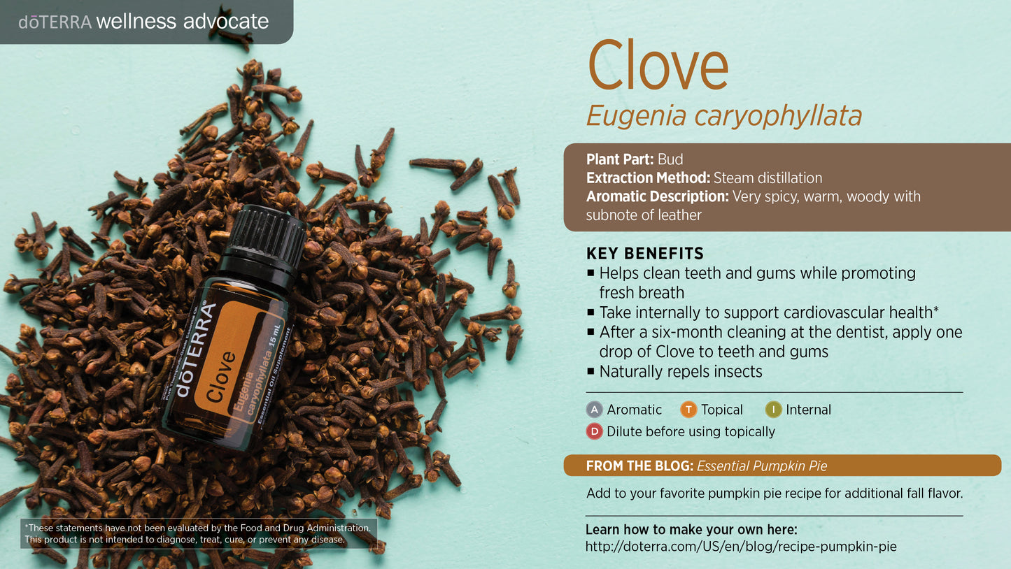 doTERRA Gewürznelke ätherisches Öl - clove 15 ml