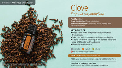 doTERRA Gewürznelke ätherisches Öl - clove 15 ml