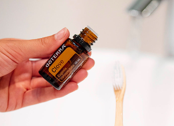 doTERRA Gewürznelke ätherisches Öl - clove 15 ml