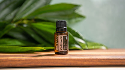doTERRA Rotzeder (Cedarwood) ätherisches Öl 15 ml