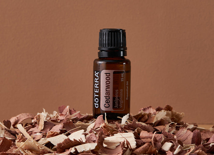 doTERRA Rotzeder (Cedarwood) ätherisches Öl 15 ml