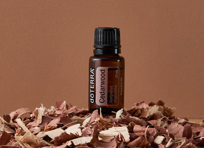 doTERRA Rotzeder (Cedarwood) ätherisches Öl 15 ml