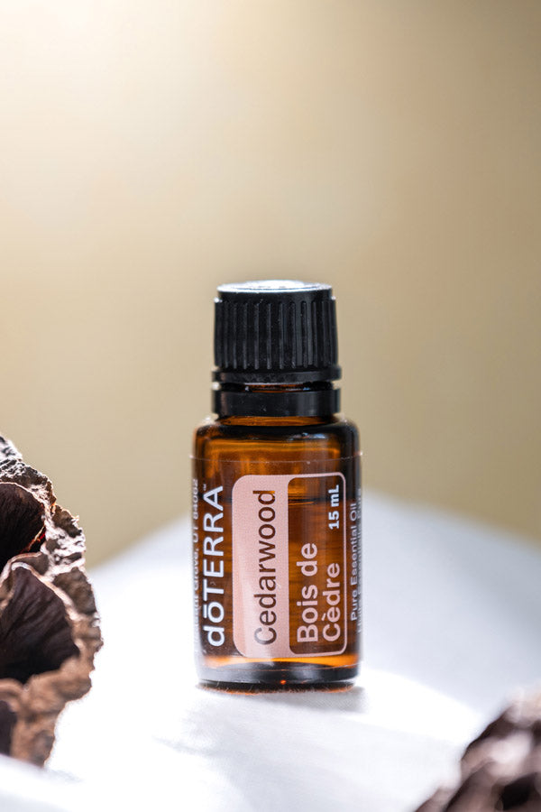 doTERRA Rotzeder (Cedarwood) ätherisches Öl 15 ml