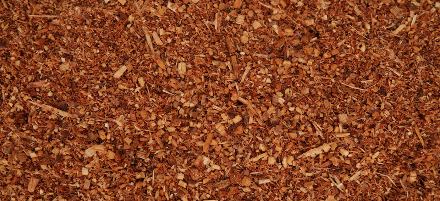 doTERRA Rotzeder (Cedarwood) ätherisches Öl 15 ml