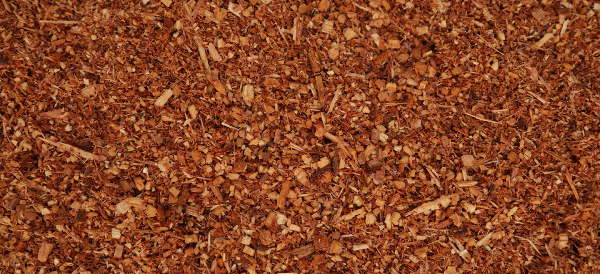 doTERRA Rotzeder (Cedarwood) ätherisches Öl 15 ml