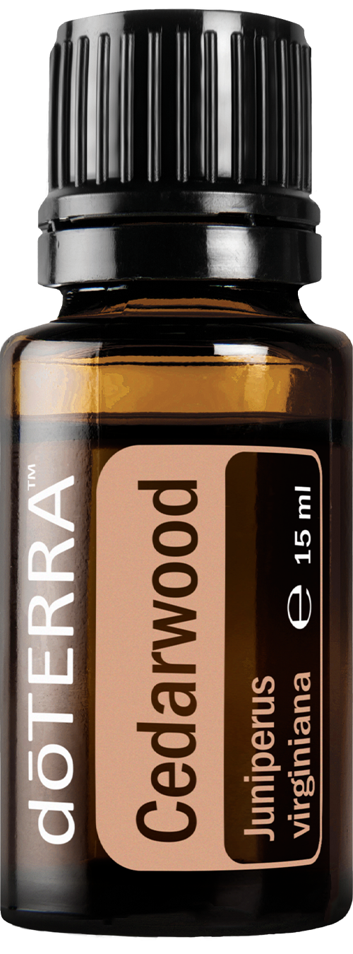 doTERRA Rotzeder (Cedarwood) ätherisches Öl 15 ml