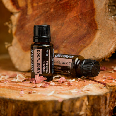 doTERRA Rotzeder (Cedarwood) ätherisches Öl 15 ml
