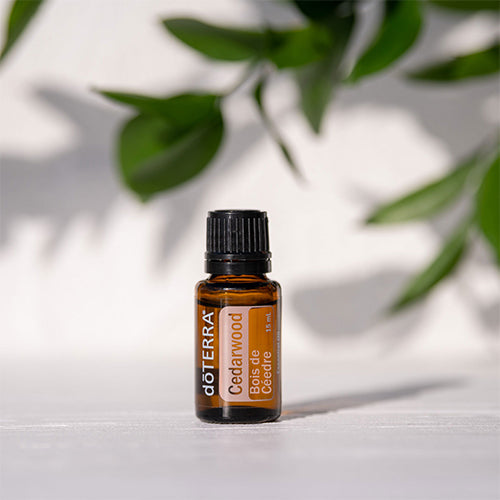 doTERRA Rotzeder (Cedarwood) ätherisches Öl 15 ml