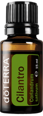 doTERRA Korianderkraut - cilantro 15 ml