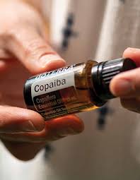 doTERRA Copaiba Öl 15 ml