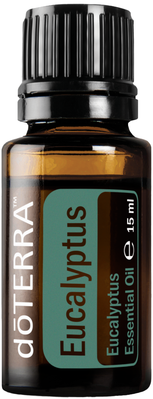 Doterra Eukaliptusz - Eucalyptus 15ml