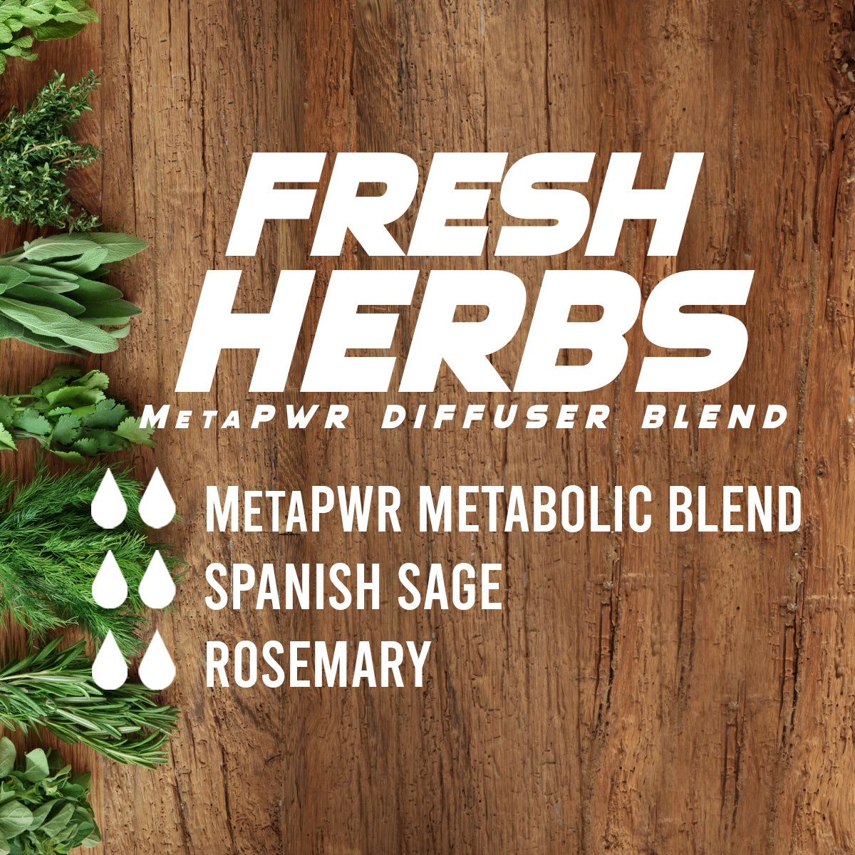 doTERRA metaPWR Ölmischung 15 ml