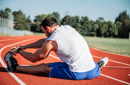 blue tansy Blauer Rainfarn