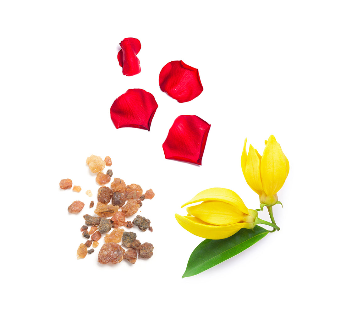 doTERRA console ätherische Ölmischung was ist enthalten